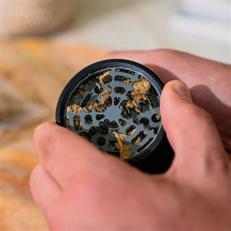 zamnesia premium grinder|Zamnesia Weed Grinders, Pipes, Bongs, & Rolling on Leafly